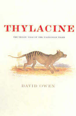 Thylacine