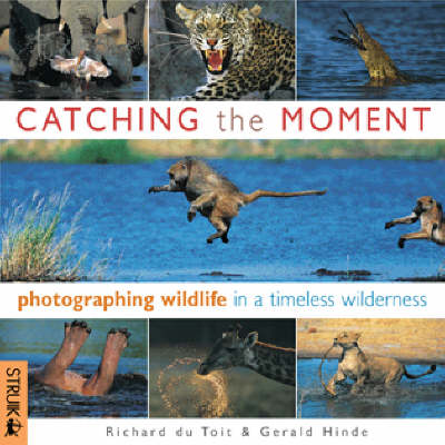 Catching the Moment
