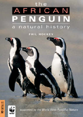 African Penguin