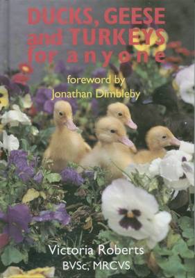 Ducks, Geese and Turkeys for Anyone