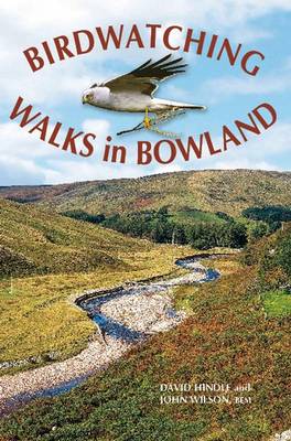 Birdwatching Walks in Bowland