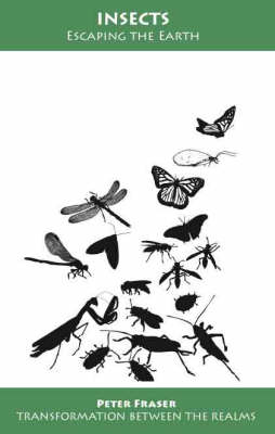 Insects