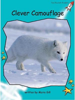 Clever Camouflage