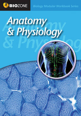 Anatomy and Physiology Modular Workbook