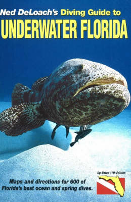 Diving Guide to Underwater Florida