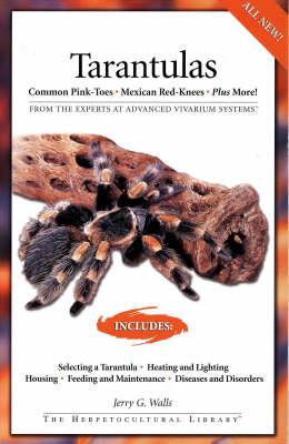 Tarantulas