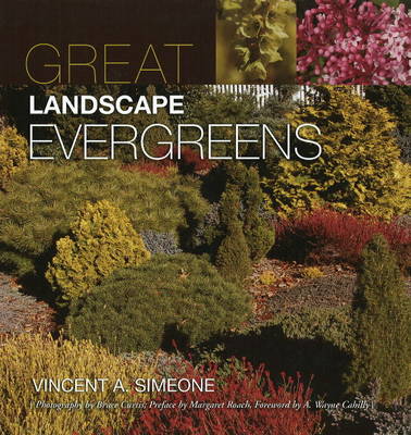 Great Landscape Evergreens