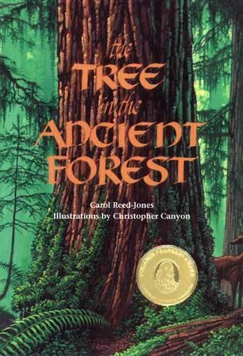 Tree in the Ancient Forest
