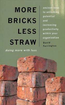 More Bricks Less Straw
