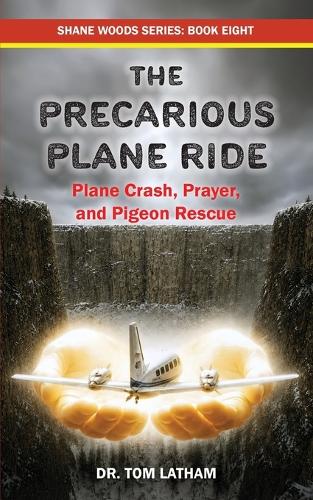 The Precarious Plane Ride