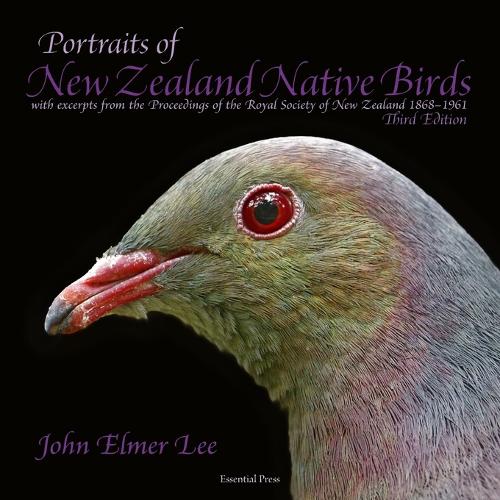 Portraits of New Zealand Native Birds