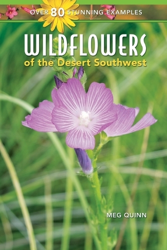 Wildflowers of the Desert Southwest