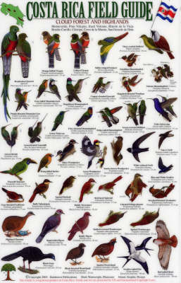 Birds of the Cloud Forest and Highlands
