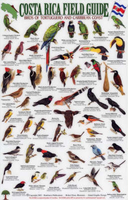 Birds of Tortuguero and the Caribbean Coast
