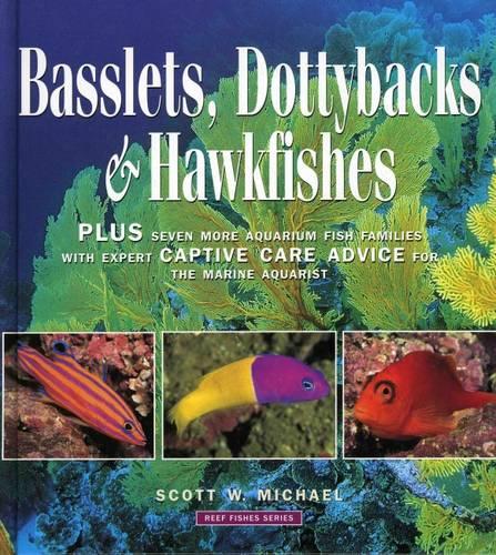 Reef Fishes