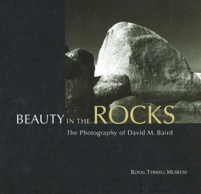 Beauty in the Rocks