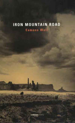 Iron Mountain Road