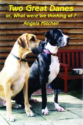 Two Great Danes