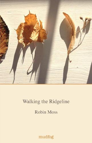 Walking the Ridgeline