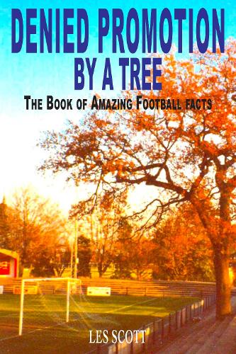 Denied Promotion By A Tree