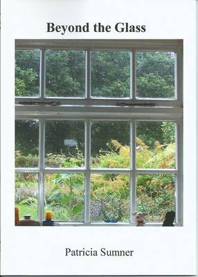 Beyond the Glass