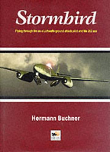 Stormbird