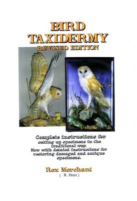 Bird Taxidermy