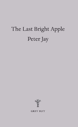The Last Bright Apple