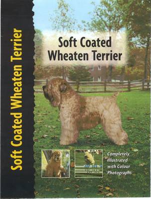 Soft Coated Wheaten Terrier