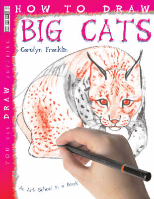 How to Draw Big Cats