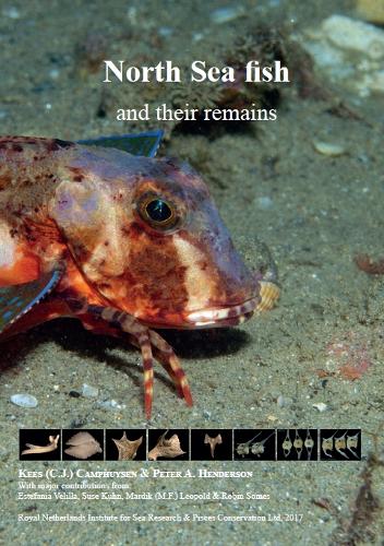 North Sea Fish and Their Remains