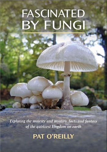 FASCINATED BY FUNGI
