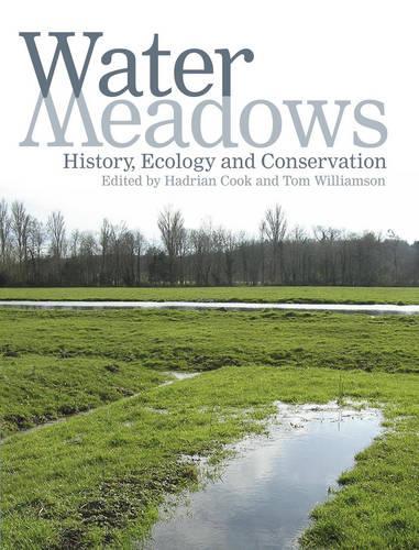 Water Meadows