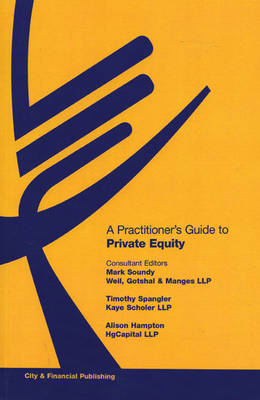 A Practitioner's Guide to Private Equity