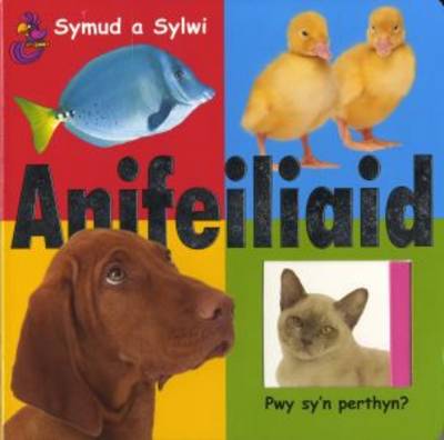 Symud a Sylwi: Anifeiliaid