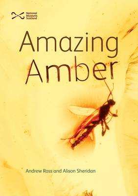 Amazing Amber