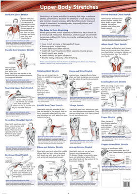 Upper Body Stretches