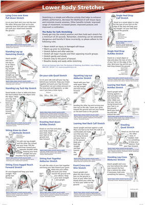 Lower Body Stretches