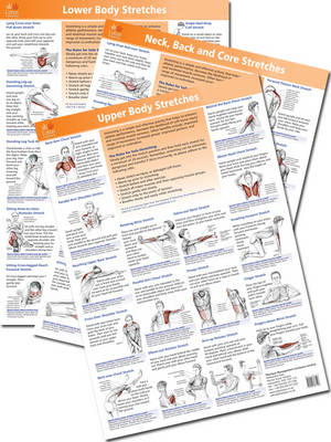 The Anatomy of Stretching Posters