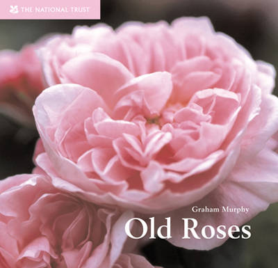 Old Roses