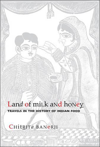 Land of Milk and Honey – Travels in the History of Indian Food