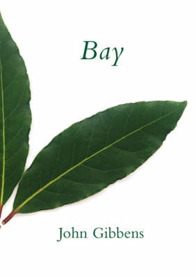 Bay