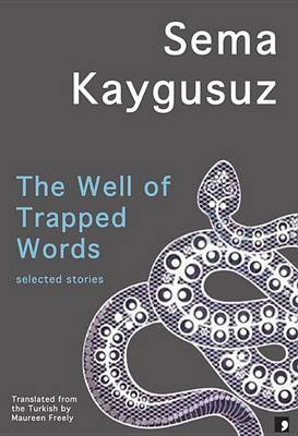 The Well of Trapped Words