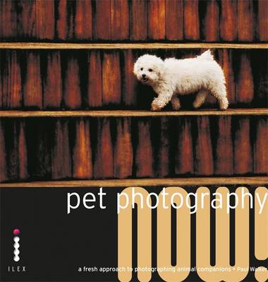 Pet Photography Now!