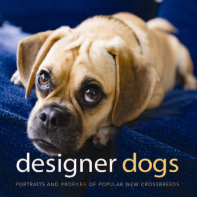 Designer Dogs