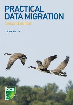 Practical Data Migration