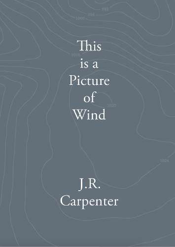 This is a Picture of Wind