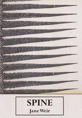 Spine