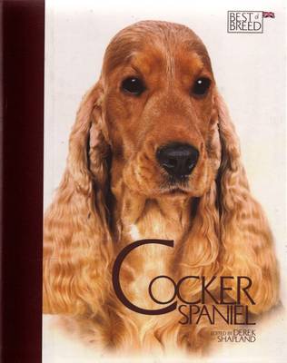 Cocker Spaniel