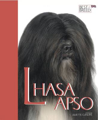 Lhasa Apso